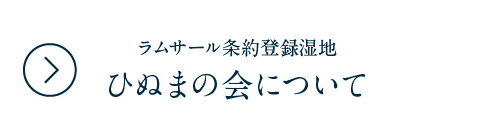 ラムサール条約登録湿地　ひぬまの会について