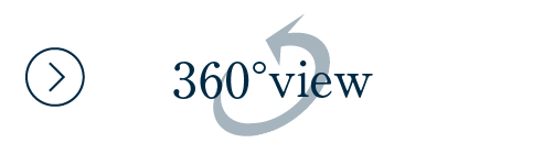 360°view