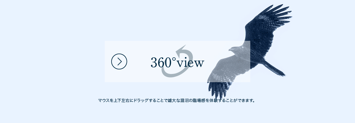 360°view